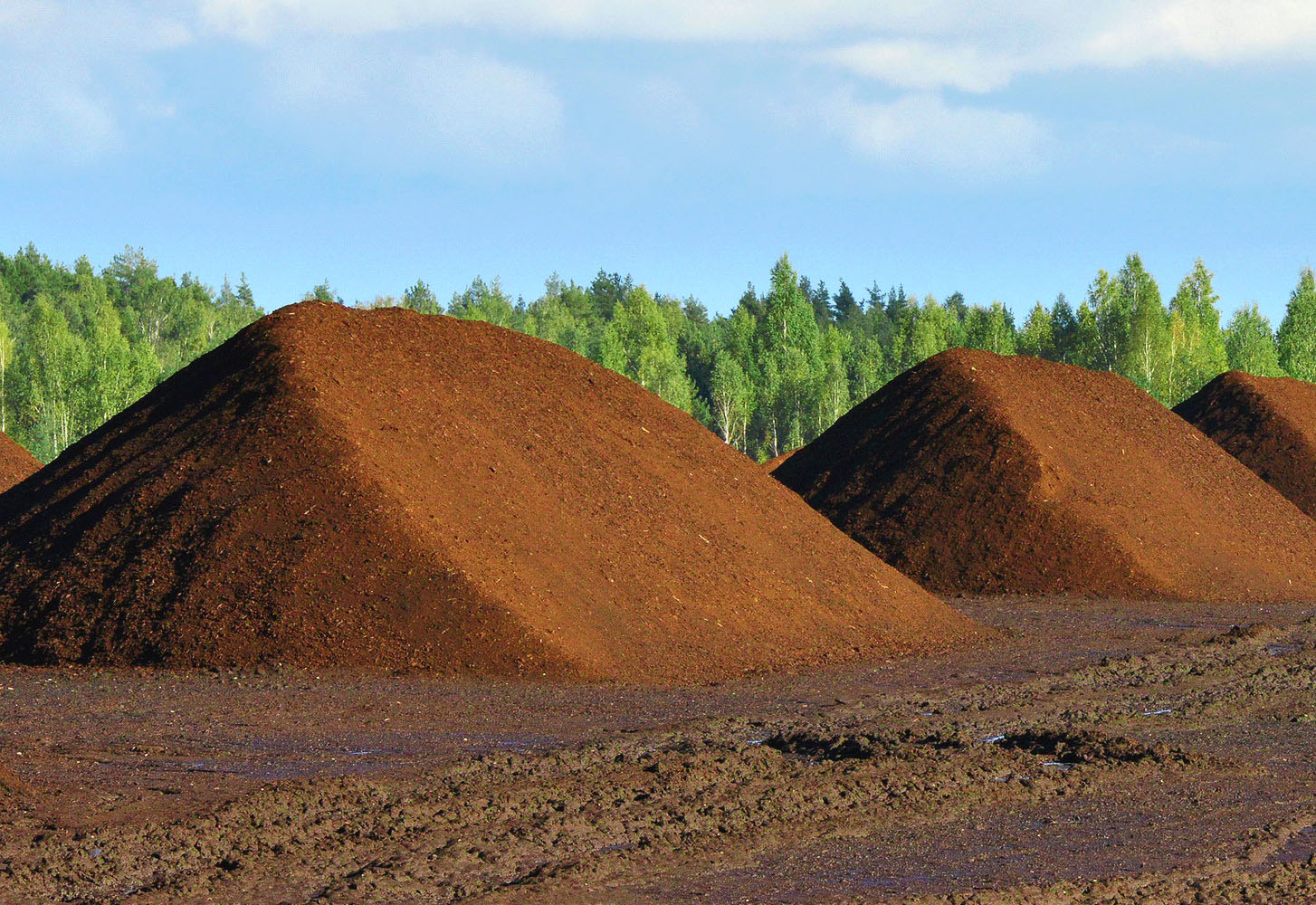 КУПИТЬ ТОРФ ОПТОМ С ДОСТАВКОЙ ПО МОСКВЕ И МОСКОВСКОЙ ОБЛАСТИ