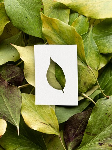 Клиника ЭКО: Надежда и возможность для многих