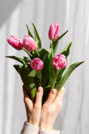 Покупка тюльпанов оптом: как сделать выгодную покупку