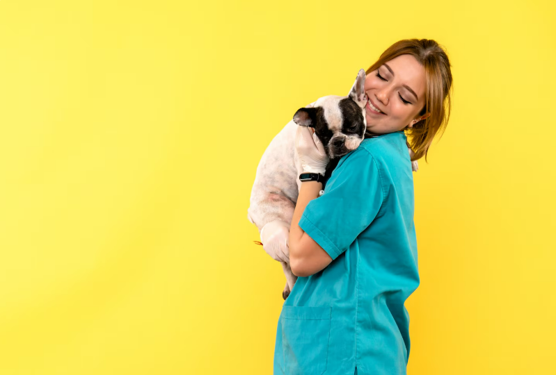 Ветклиника: когда здоровье питомца — главный приоритет