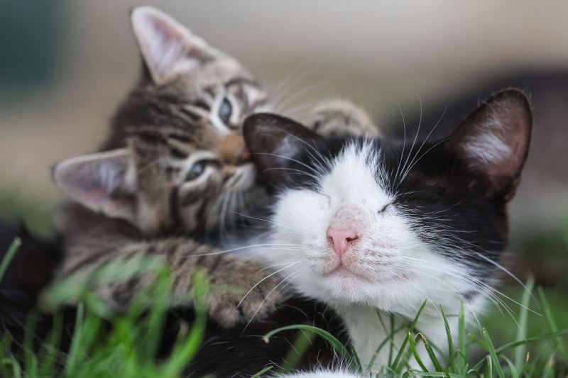 12 добрых фотографий года. Галерея