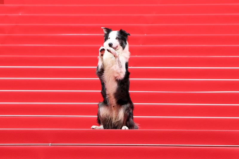 12 добрых фотографий года. Галерея