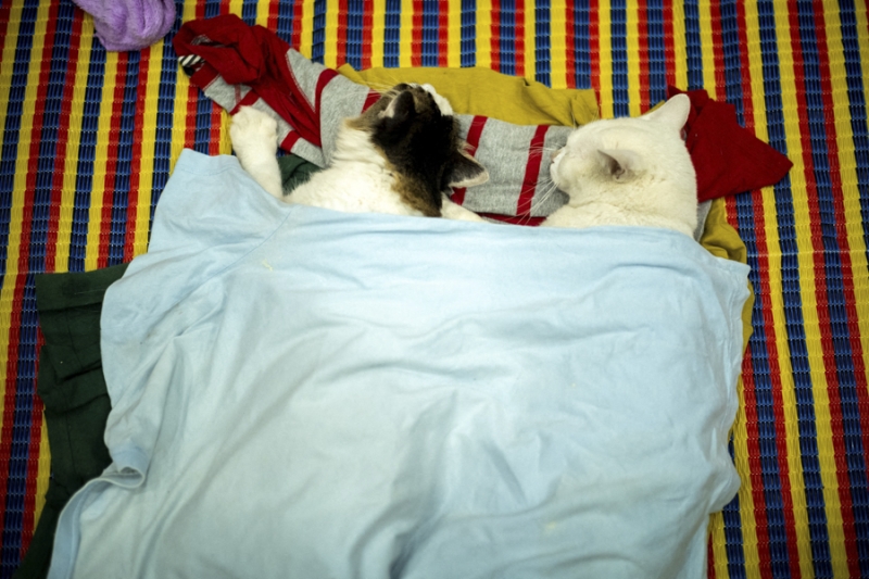 15 добрых фотографий года. Фотогалерея