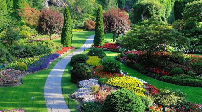 Ландшафтный дизайн в Москве.