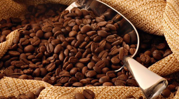 Магия кофейных зерен: раскрываем суть вашего ежедневного напитка