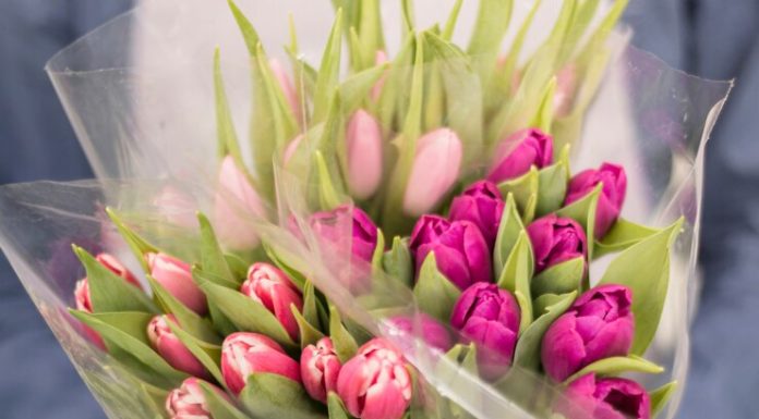 Монобукеты – простота и элегантность в каждом цветке