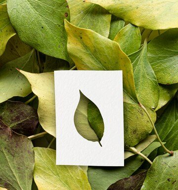 Клиника ЭКО: Надежда и возможность для многих