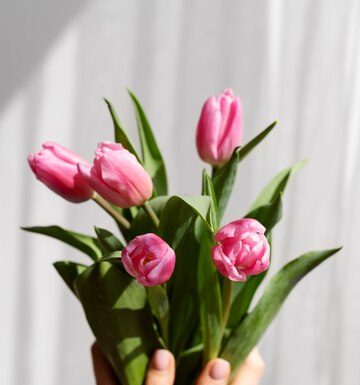 Покупка тюльпанов оптом: как сделать выгодную покупку