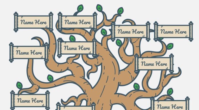 Генеалогический сайт: платные услуги по архивному поиску и оформлению результатов