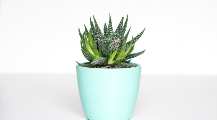 Промокоды и их преимущества: как экономить легко и с удовольствием