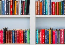 Все, что нужно знать о книгах по игре Клуб Романтики