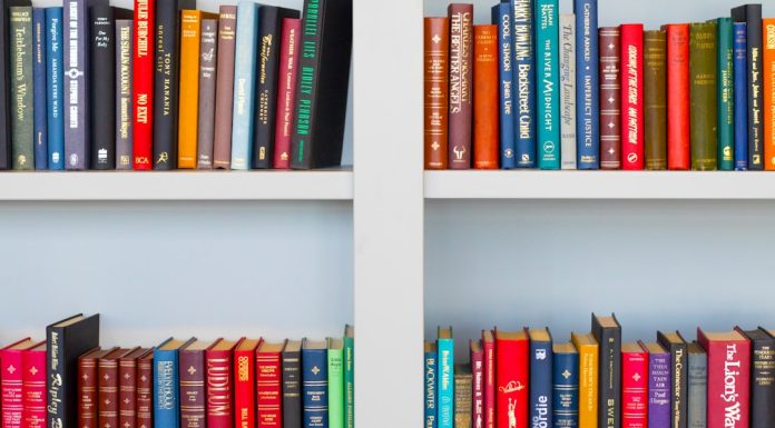 Все, что нужно знать о книгах по игре Клуб Романтики