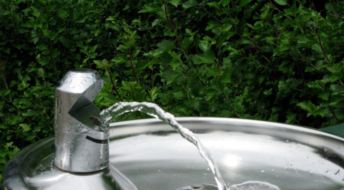 Питьевые фонтанчики: почему они стали незаменимыми в нашем доме и офисе