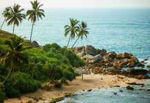 Как выбрать тур под свой ритм жизни: советы для активных, семейных и любителей спокойного отдыха