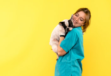 Ветклиника: когда здоровье питомца — главный приоритет