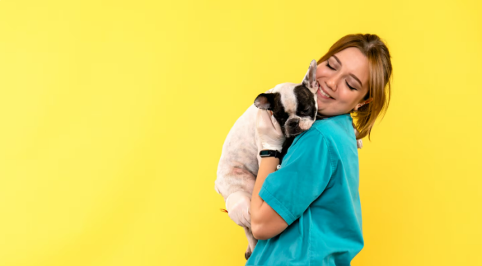 Ветклиника: когда здоровье питомца — главный приоритет