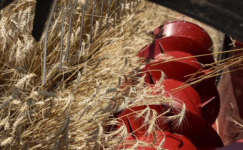 &laquo;АгроТерра&raquo; после перехода под контроль Росимущества сменила