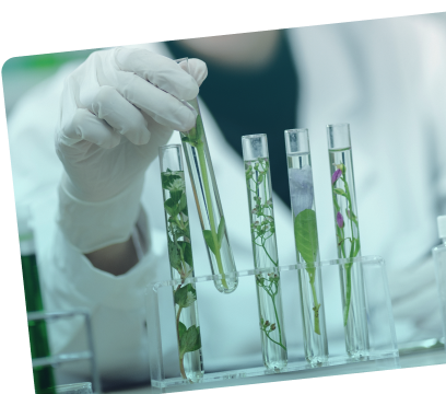 Алиев пообещал помочь французским территориям в обретении