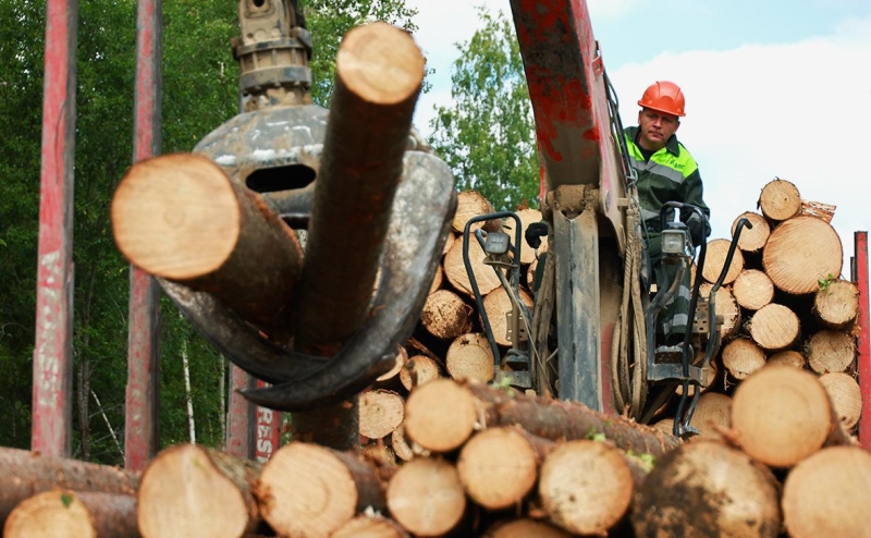 Алиханов заявил о решении проблемы с долгами Segezha Group