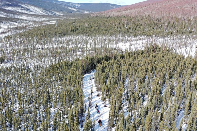 Аляска: от русских колонистов до встречи Путина и Трампа