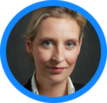 Альтернативы для Германии: чем могут обернуться досрочные выборы в ФРГ