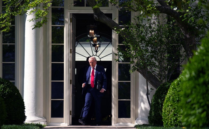 Amnesty заявила о влиянии «эффекта Трампа» на кризис с правами