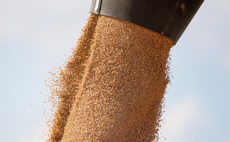 Аналитики назвали главные тренды развития АПК на 2026 год