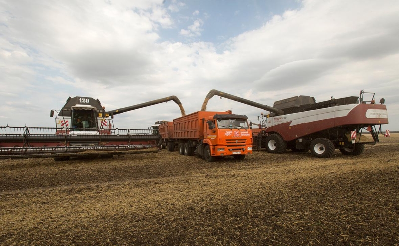 Аналитики заявили о буме сделок по слиянию и поглощению в АПК