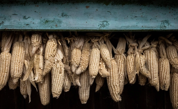 ANSA узнало о нежелании США приглашать Зеленского на саммит НАТО