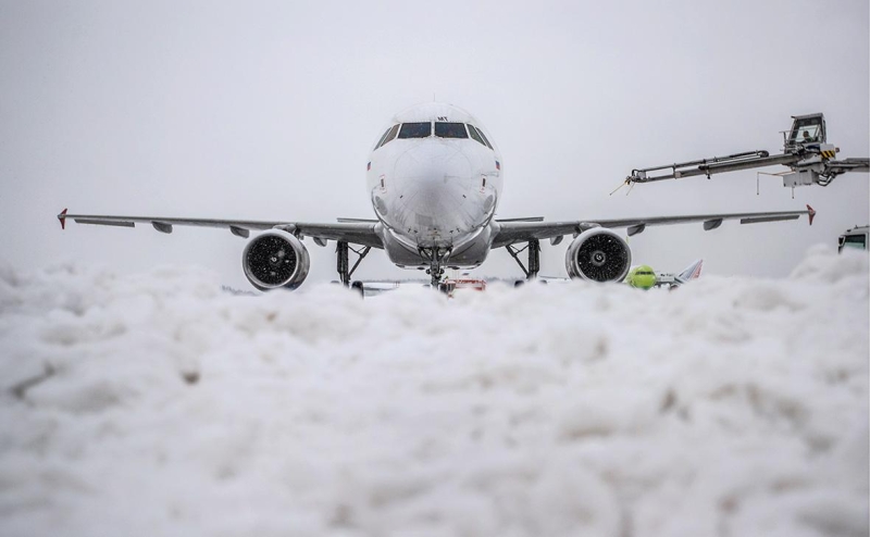 Аудиторы нашли у «Авроры» нарушения в программе субсидируемых рейсов