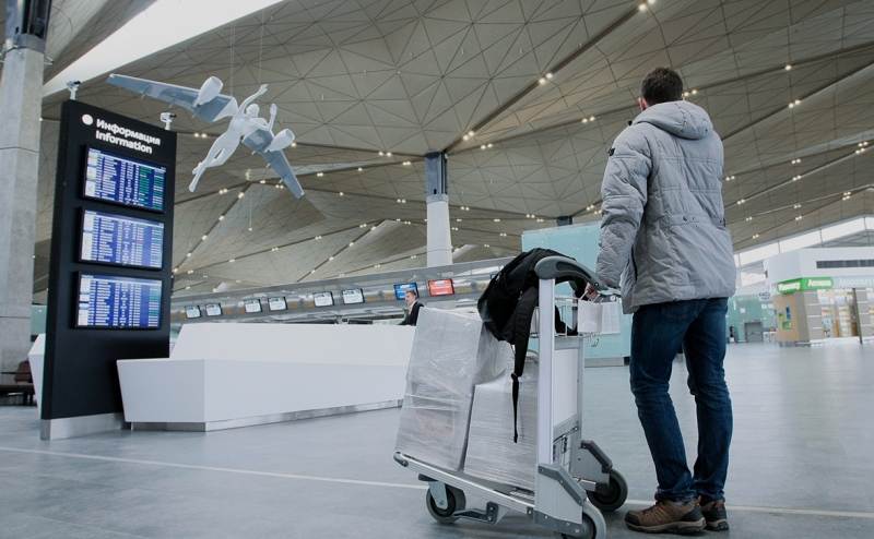 Авиакомпании предложили правительству почти 100 мер для поддержки отрасли