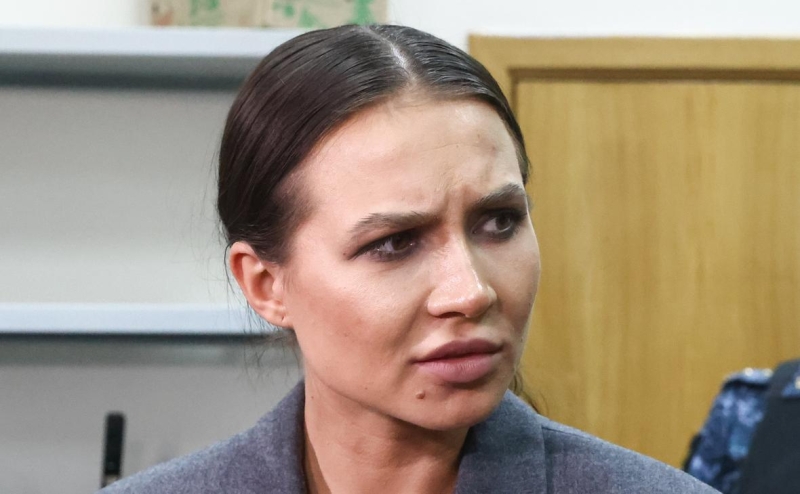 Бастрыкин не исключил новых проверок в отношении популярных блогеров