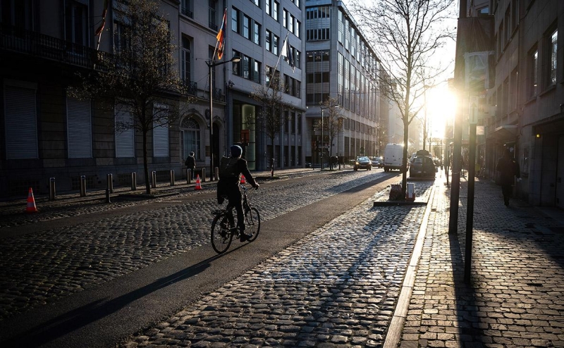 Бельгия заморозила больше всего российских активов среди стран ЕС