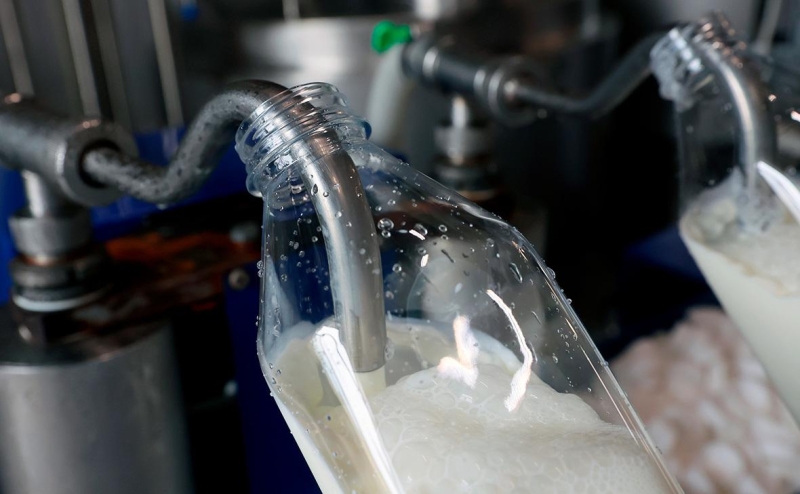 Белоруссия отменила запрет на ввоз из России чая Greenfield и кофе