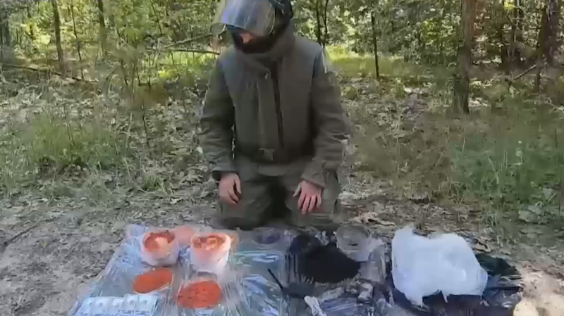 Белоруссия решила усилить защиту границы с Украиной из-за разведки РДК