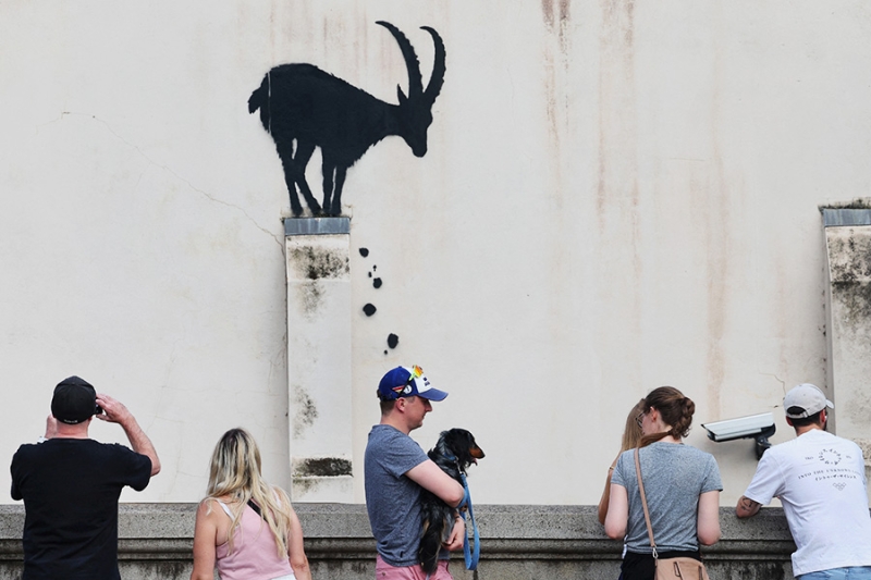 Бэнкси завершил серию работ с животными на ставнях зоопарка в Лондоне