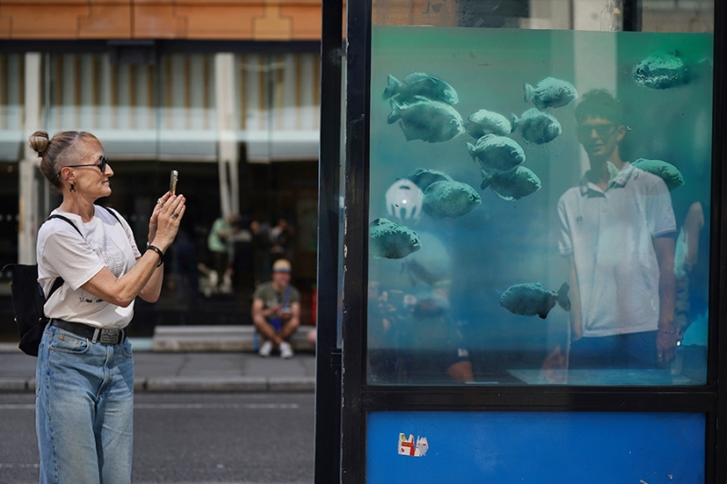 Бэнкси завершил серию работ с животными на ставнях зоопарка в Лондоне