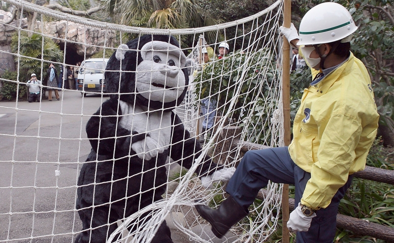 Билл Гейтс оценил опасность оспы обезьян и назвал сроки новой пандемии