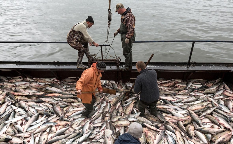Биржа попросила ФАС обязать рыбаков отчитываться о ценах