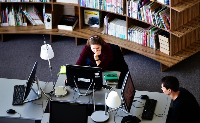 Бизнес попросил мягче наказывать IT-руководителей за нарушение закона