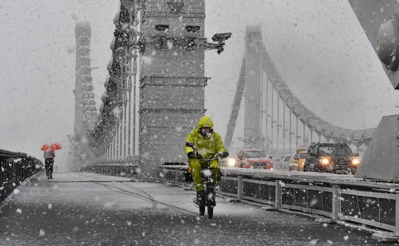 Бизнес попросил смягчить требования к транспорту и одежде курьеров