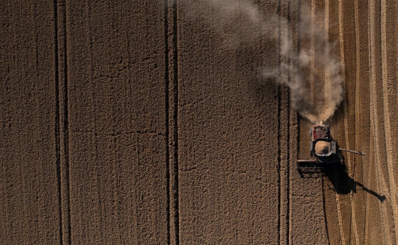 Bloomberg назвал новую проблему для вывоза зерна с Украины
