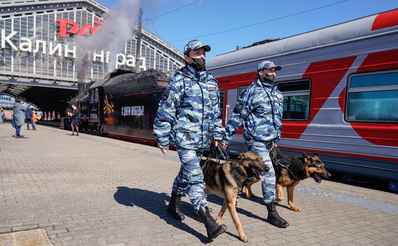 Bloomberg описал сценарий возможного конфликта России и НАТО