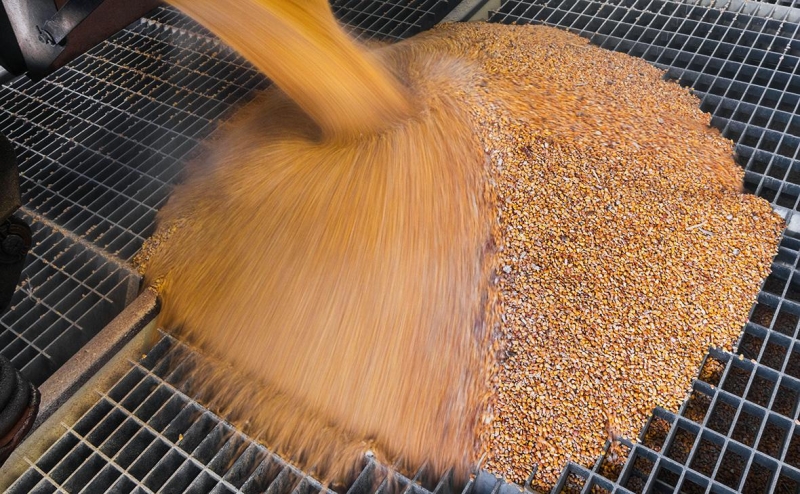 Bloomberg предупредил о смене правительств в ЕС из-за украинского