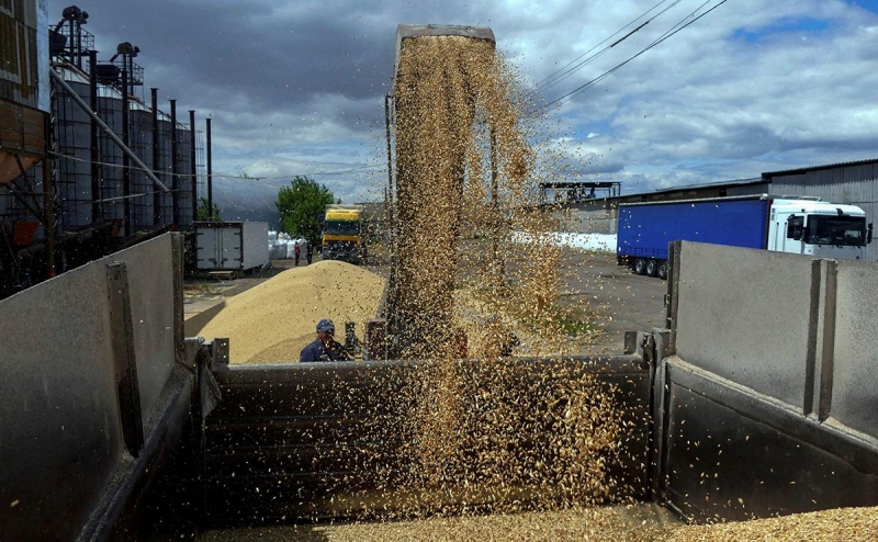 Bloomberg сообщил о &laquo;ловушке&raquo; для украинского зерна