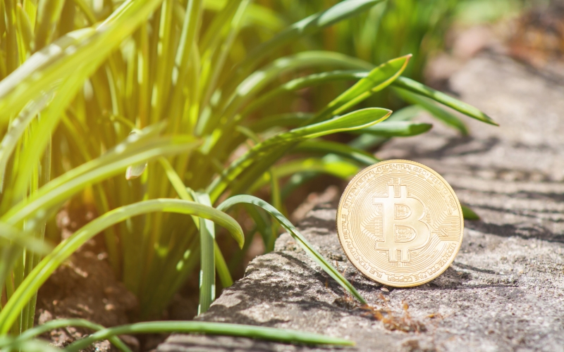 Bloomberg сообщил о спаде продаж углеродных кредитов