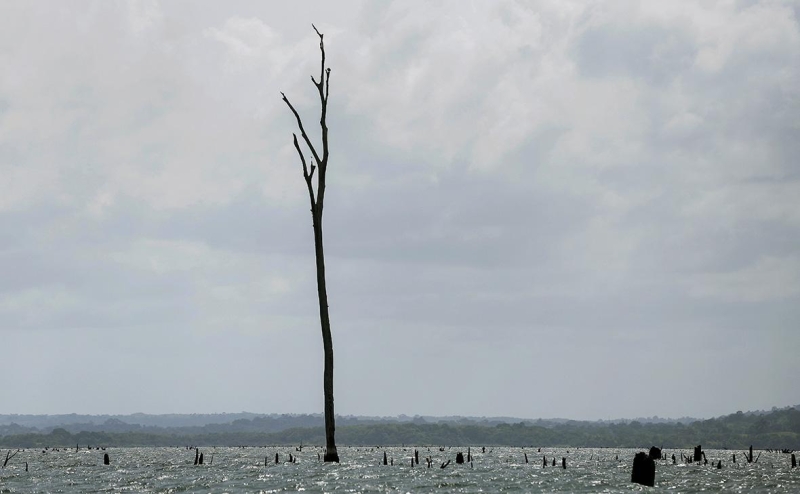 Bloomberg узнал «нереальные» планы властей по спасению Панамского