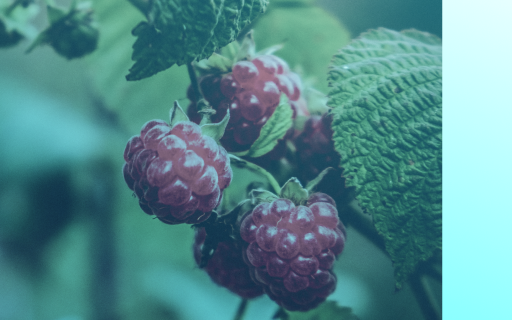 Bloomberg узнал о планах ЕС начать консультации по новому пакету