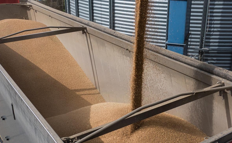 Bloomberg узнал о потере Украиной $3 млрд доходов от сельхозэкспорта