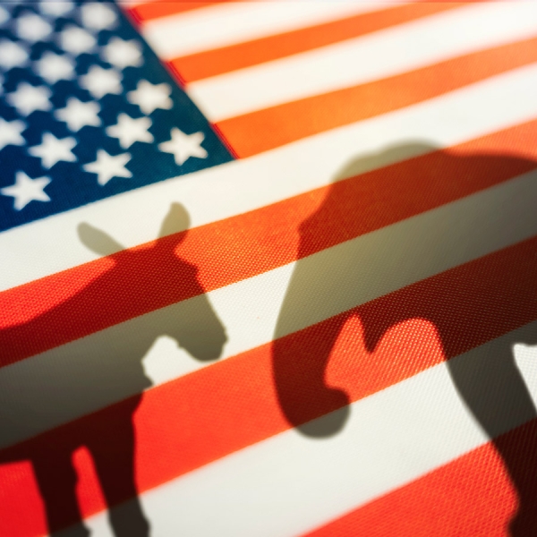 Bloomberg узнал о пожертвовании Маска на кампанию Трампа